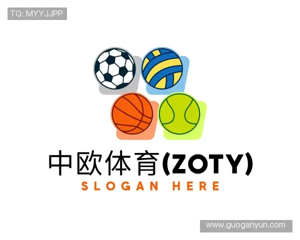 介绍中欧体育(zoty)
